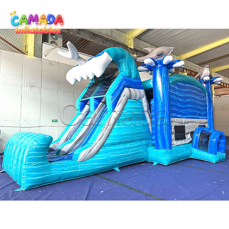 Dolphin Castle and Double Slide Combo with Commercial Grade PVC Material for Kids Party