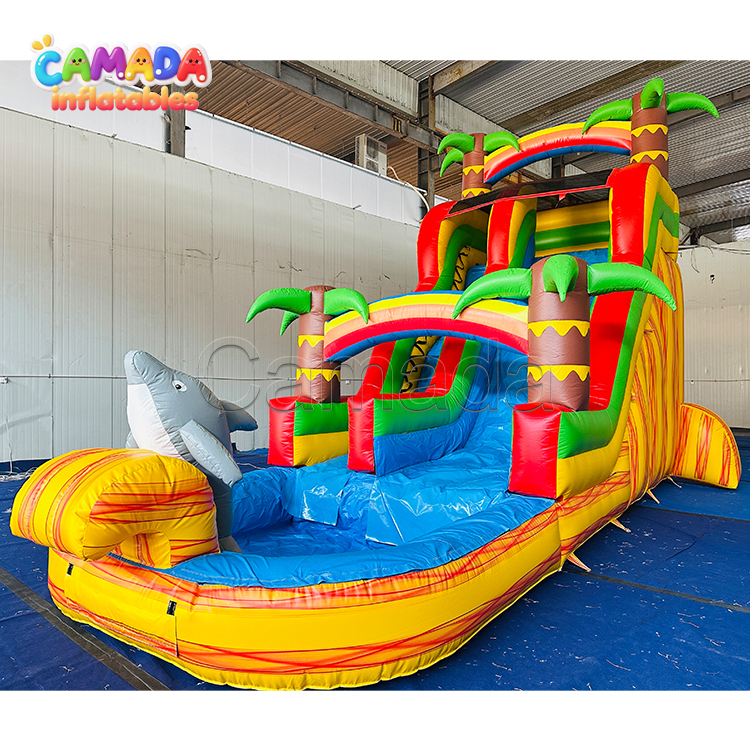 Dolphin Themed Marble Yellow Water Slide Inflatable Commercial Grade Castle Water Slides for Backyard Use