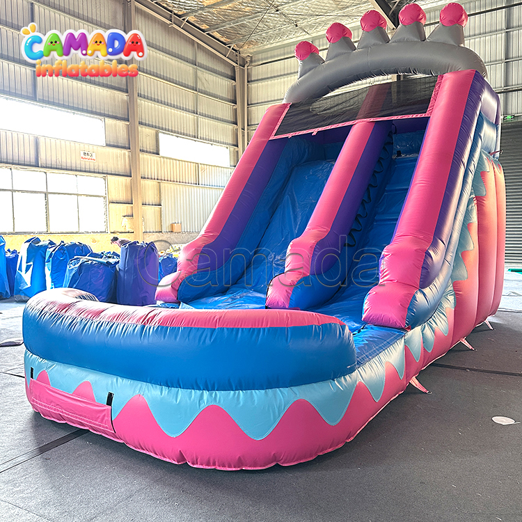 Crown Themed Small Water Slide Inflatable Girls Jumping Castle Slide with Pool